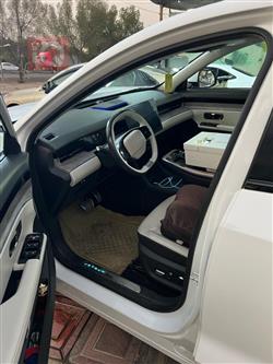 جيتور داشينج